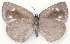  ( - MLIB-2179)  @13 [ ] CreativeCommons - Attribution Non-Commercial Share-Alike (2017) Michel Libert Centre for Biodiversity Genomics