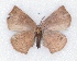  ( - MLIB-2302)  @11 [ ] CreativeCommons - Attribution Non-Commercial Share-Alike (2018) Michel Libert Centre for Biodiversity Genomics