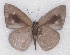  ( - MLIB-2326)  @11 [ ] CreativeCommons - Attribution Non-Commercial Share-Alike (2018) Michel Libert Centre for Biodiversity Genomics