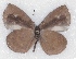  ( - MLIB-2328)  @11 [ ] CreativeCommons - Attribution Non-Commercial Share-Alike (2018) Michel Libert Centre for Biodiversity Genomics