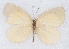  ( - MLIB-2358)  @11 [ ] CreativeCommons - Attribution Non-Commercial Share-Alike (2018) Michel Libert Centre for Biodiversity Genomics