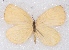  ( - MLIB-2367)  @11 [ ] CreativeCommons - Attribution Non-Commercial Share-Alike (2018) Michel Libert Centre for Biodiversity Genomics