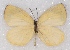  ( - MLIB-2373)  @11 [ ] CreativeCommons - Attribution Non-Commercial Share-Alike (2018) Michel Libert Centre for Biodiversity Genomics