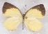  ( - MLIB-2374)  @11 [ ] CreativeCommons - Attribution Non-Commercial Share-Alike (2018) Michel Libert Centre for Biodiversity Genomics
