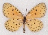  ( - MLIB-2382)  @11 [ ] CreativeCommons - Attribution Non-Commercial Share-Alike (2018) Michel Libert Centre for Biodiversity Genomics