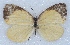  ( - MLIB-2427)  @11 [ ] CreativeCommons - Attribution Non-Commercial Share-Alike (2018) Michel Libert Centre for Biodiversity Genomics