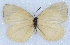  ( - MLIB-2427)  @11 [ ] CreativeCommons - Attribution Non-Commercial Share-Alike (2018) Michel Libert Centre for Biodiversity Genomics
