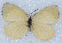  ( - MLIB-2428)  @11 [ ] CreativeCommons - Attribution Non-Commercial Share-Alike (2018) Michel Libert Centre for Biodiversity Genomics