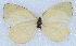  ( - MLIB-2429)  @11 [ ] CreativeCommons - Attribution Non-Commercial Share-Alike (2018) Michel Libert Centre for Biodiversity Genomics