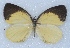  ( - MLIB-2431)  @11 [ ] CreativeCommons - Attribution Non-Commercial Share-Alike (2018) Michel Libert Centre for Biodiversity Genomics