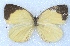  ( - MLIB-2432)  @11 [ ] CreativeCommons - Attribution Non-Commercial Share-Alike (2018) Michel Libert Centre for Biodiversity Genomics