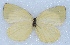  ( - MLIB-2432)  @11 [ ] CreativeCommons - Attribution Non-Commercial Share-Alike (2018) Michel Libert Centre for Biodiversity Genomics