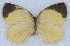  ( - MLIB-2433)  @11 [ ] CreativeCommons - Attribution Non-Commercial Share-Alike (2018) Michel Libert Centre for Biodiversity Genomics