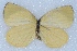  ( - MLIB-2433)  @11 [ ] CreativeCommons - Attribution Non-Commercial Share-Alike (2018) Michel Libert Centre for Biodiversity Genomics