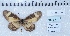  ( - MLIB-2457)  @11 [ ] CreativeCommons - Attribution Non-Commercial Share-Alike (2018) Michel Libert Centre for Biodiversity Genomics