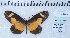  ( - MLIB-2458)  @11 [ ] CreativeCommons - Attribution Non-Commercial Share-Alike (2018) Michel Libert Centre for Biodiversity Genomics