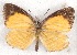  ( - MLIB-2513)  @11 [ ] CreativeCommons - Attribution Non-Commercial Share-Alike (2019) Michel Libert Centre for Biodiversity Genomics