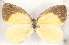  ( - MLIB-2514)  @11 [ ] CreativeCommons - Attribution Non-Commercial Share-Alike (2019) Michel Libert Centre for Biodiversity Genomics