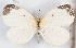 ( - MLIB-2542)  @11 [ ] CreativeCommons - Attribution Non-Commercial Share-Alike (2019) Michel Libert Centre for Biodiversity Genomics