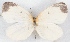  ( - MLIB-2543)  @11 [ ] CreativeCommons - Attribution Non-Commercial Share-Alike (2019) Michel Libert Centre for Biodiversity Genomics