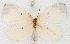  ( - MLIB-2543)  @11 [ ] CreativeCommons - Attribution Non-Commercial Share-Alike (2019) Michel Libert Centre for Biodiversity Genomics