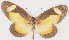  ( - MLIB-2643)  @11 [ ] by-nc-na (2020) Michel Libert Centre for Biodiversity Genomics