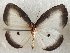  ( - MLIB-2649)  @11 [ ] by-nc-na (2020) Michel Libert Centre for Biodiversity Genomics