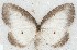  ( - MLIB-2651)  @11 [ ] by-nc-na (2020) Michel Libert Centre for Biodiversity Genomics