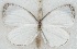  ( - MLIB-2657)  @11 [ ] by-nc-na (2020) Michel Libert Centre for Biodiversity Genomics