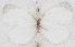  ( - MLIB-2660)  @11 [ ] by-nc-na (2020) Michel Libert Centre for Biodiversity Genomics