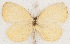  ( - MLIB-2668)  @11 [ ] by-nc-na (2020) Michel Libert Centre for Biodiversity Genomics