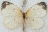 ( - MLIB-2684)  @11 [ ] by-nc-na (2020) Michel Libert Centre for Biodiversity Genomics