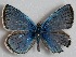  ( - MLIB-2692)  @11 [ ] by-nc-na (2020) Michel Libert Centre for Biodiversity Genomics