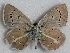  ( - MLIB-2692)  @11 [ ] by-nc-na (2020) Michel Libert Centre for Biodiversity Genomics