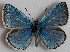  ( - MLIB-2693)  @11 [ ] by-nc-na (2020) Michel Libert Centre for Biodiversity Genomics