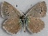  ( - MLIB-2693)  @11 [ ] by-nc-na (2020) Michel Libert Centre for Biodiversity Genomics