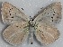 ( - MLIB-2694)  @11 [ ] by-nc-na (2020) Michel Libert Centre for Biodiversity Genomics