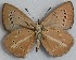  ( - MLIB-2695)  @11 [ ] by-nc-na (2020) Michel Libert Centre for Biodiversity Genomics