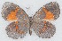  ( - MLIB-2759)  @11 [ ] by-nc-na (2021) Michel Libert Centre for Biodiversity Genomics