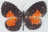  ( - MLIB-2769)  @11 [ ] by-nc-na (2021) Michel Libert Centre for Biodiversity Genomics