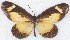  ( - MLIB-2774)  @11 [ ] by-nc-na (2021) Michel Libert Centre for Biodiversity Genomics