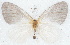  ( - MLIB-2779)  @11 [ ] by-nc-na (2021) Michel Libert Centre for Biodiversity Genomics