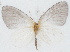  ( - MLIB-2781)  @11 [ ] by-nc-na (2021) Michel Libert Centre for Biodiversity Genomics