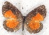  ( - MLIB-2204)  @11 [ ] CreativeCommons - Attribution Non-Commercial Share-Alike (2017) Michel Libert Centre for Biodiversity Genomics
