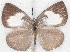  ( - MLIB-2210)  @13 [ ] CreativeCommons - Attribution Non-Commercial Share-Alike (2017) Michel Libert Centre for Biodiversity Genomics