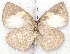  ( - MLIB-2210)  @13 [ ] CreativeCommons - Attribution Non-Commercial Share-Alike (2017) Michel Libert Centre for Biodiversity Genomics