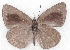  ( - MLIB-2217)  @12 [ ] CreativeCommons - Attribution Non-Commercial Share-Alike (2017) Michel Libert Centre for Biodiversity Genomics