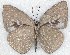  ( - MLIB-2273)  @11 [ ] CreativeCommons - Attribution Non-Commercial Share-Alike (2017) Michel Libert Centre for Biodiversity Genomics