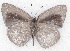  ( - MLIB-2286)  @12 [ ] CreativeCommons - Attribution Non-Commercial Share-Alike (2017) Michel Libert Centre for Biodiversity Genomics