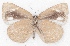  ( - MLIB-2287)  @13 [ ] CreativeCommons - Attribution Non-Commercial Share-Alike (2017) Michel Libert Centre for Biodiversity Genomics